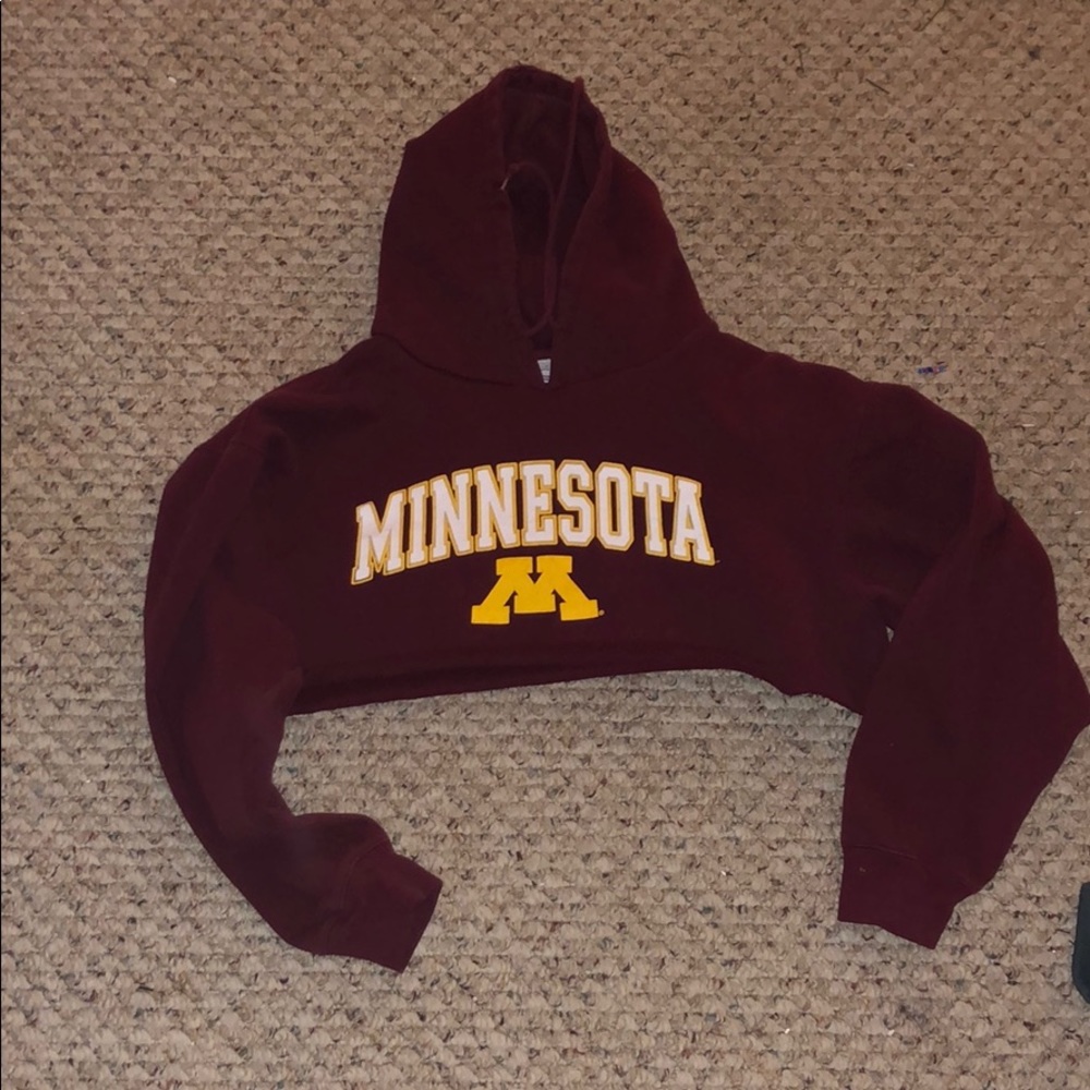 minnesota cropped hoodie